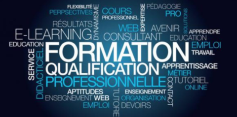 Formation professionnelle